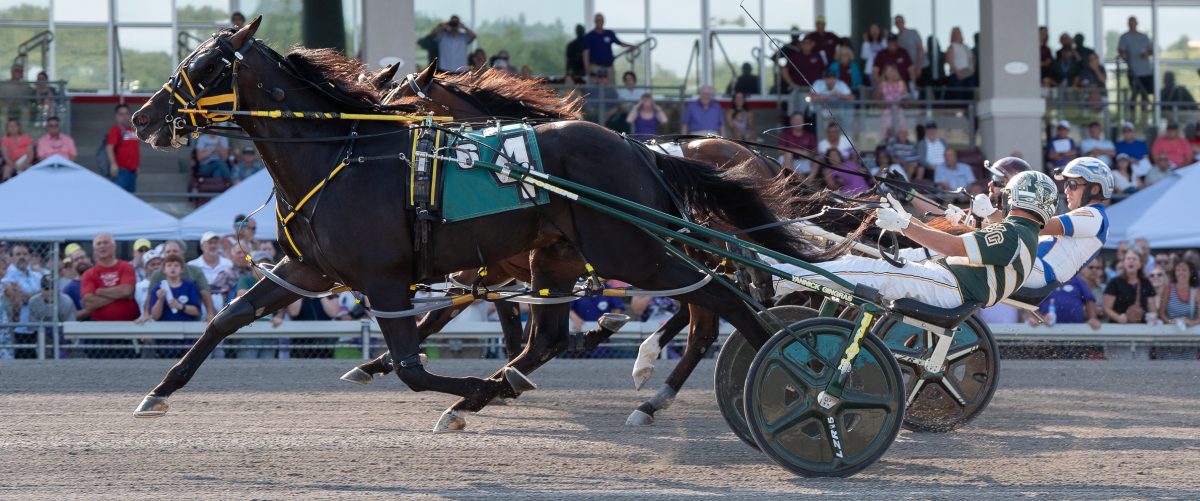 ビジネス・経済 HIT WIN VICTORY II OF HORSE RACE ビジネス・経済 HIT WIN VICTORY II OF HORSE RACE Golden Tempo's